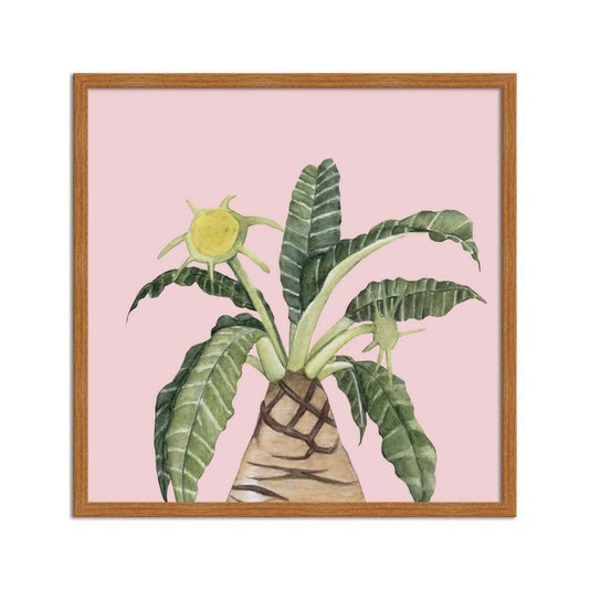 Quadro Decorativo Suculenta Folhas e Flor Fundo Rosa Q3190_1