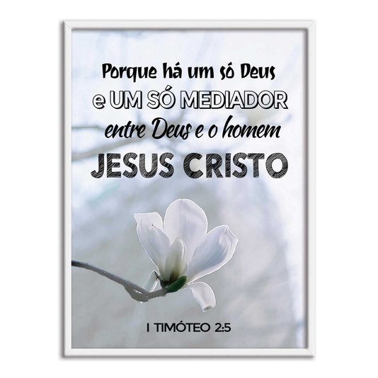 Quadro Decorativo Versículo Bíblico 1 Timóteo 2:5