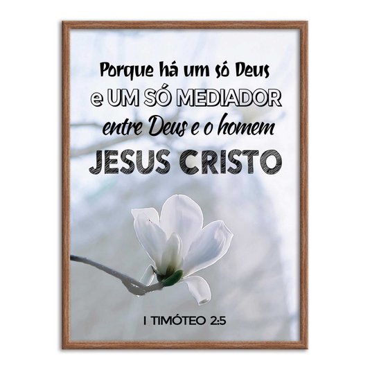 Quadro Decorativo Versículo Bíblico 1 Timóteo 2:5