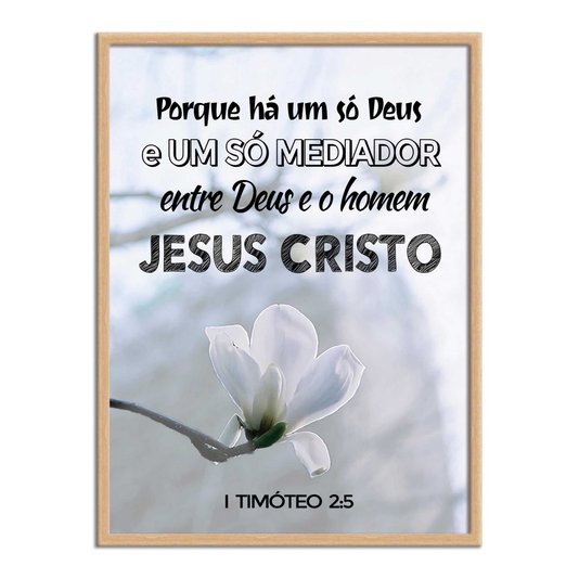 Quadro Decorativo Versículo Bíblico 1 Timóteo 2:5