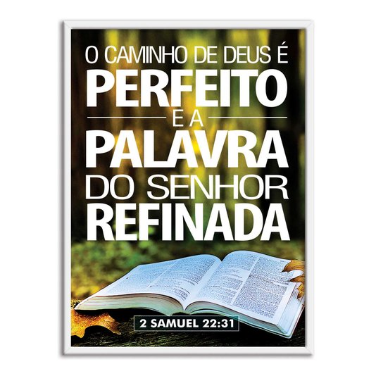 Quadro Decorativo Versículo Bíblico 2 Samuel 22:31