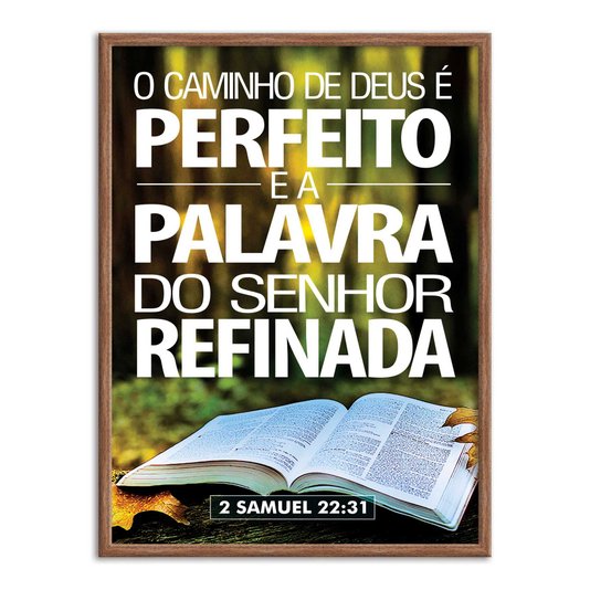 Quadro Decorativo Versículo Bíblico 2 Samuel 22:31