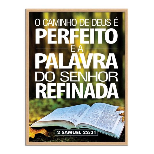 Quadro Decorativo Versículo Bíblico 2 Samuel 22:31