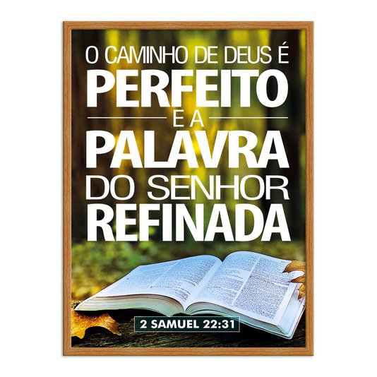 Quadro Decorativo Versículo Bíblico 2 Samuel 22:31