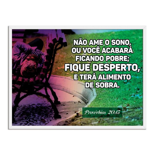 Quadro Decorativo Versículo Bíblico Provérbios 20:13