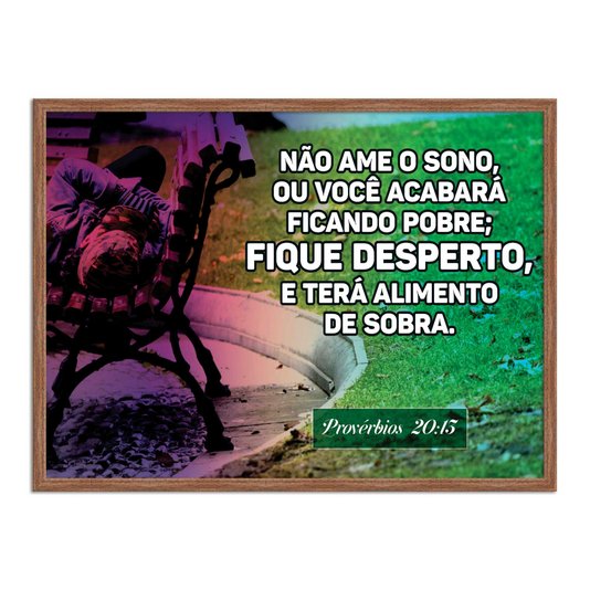 Quadro Decorativo Versículo Bíblico Provérbios 20:13