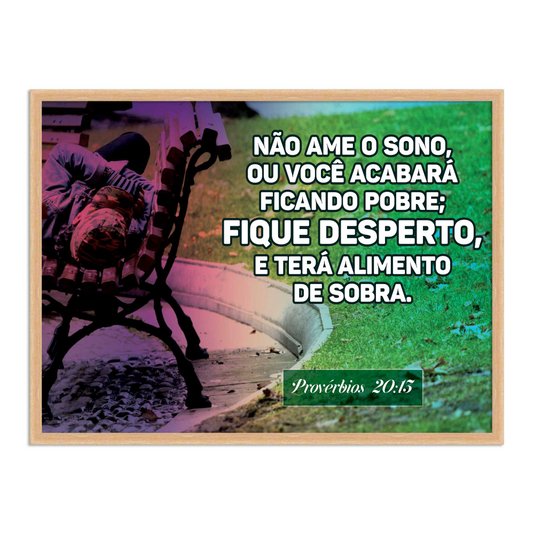 Quadro Decorativo Versículo Bíblico Provérbios 20:13