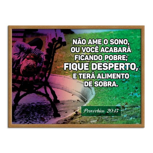 Quadro Decorativo Versículo Bíblico Provérbios 20:13