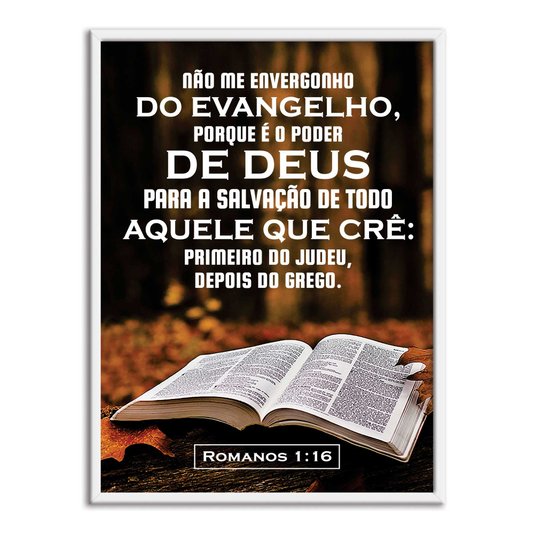 Quadro Decorativo Versículo Bíblico Romanos 1:16
