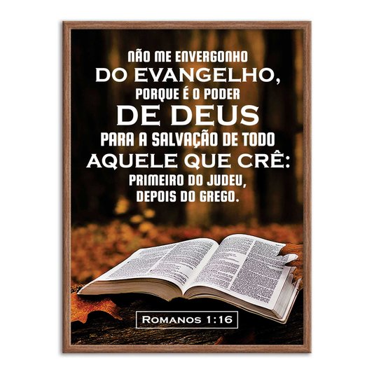 Quadro Decorativo Versículo Bíblico Romanos 1:16