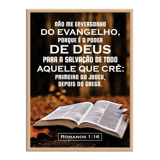 Quadro Decorativo Versículo Bíblico Romanos 1:16