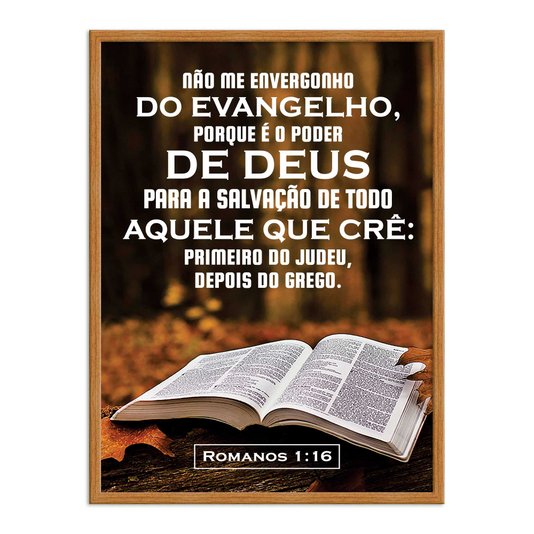 Quadro Decorativo Versículo Bíblico Romanos 1:16