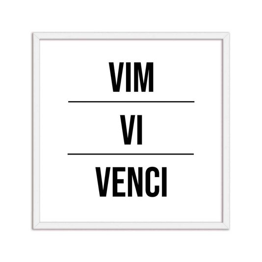 Quadro Decorativo Vim Vi Venci