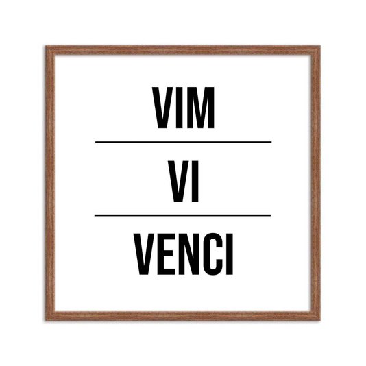 Quadro Decorativo Vim Vi Venci