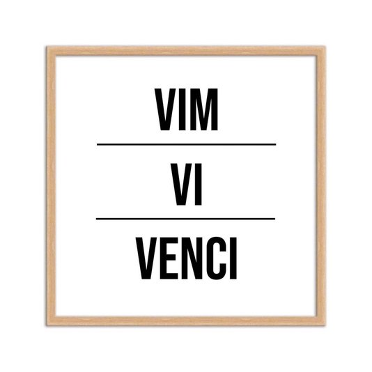 Quadro Decorativo Vim Vi Venci