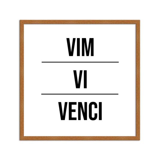 Quadro Decorativo Vim Vi Venci