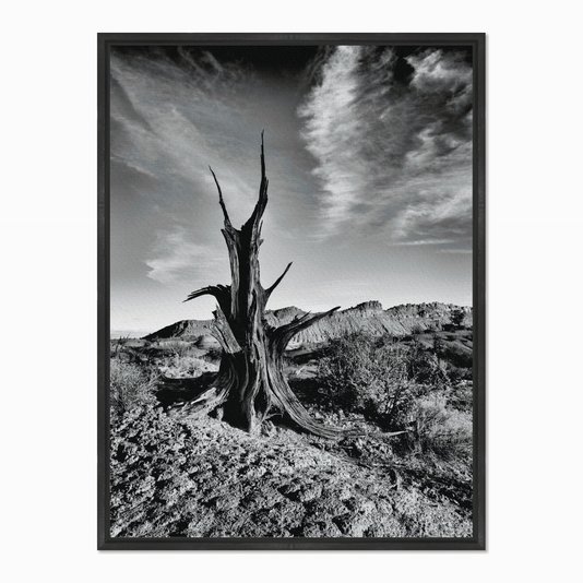 Quadro em Tela Canvas Árvore Morta no Deserto