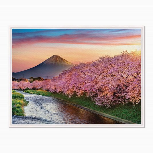 Quadro em Tela Canvas Cerejeiras no Monte Fuji