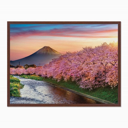 Quadro em Tela Canvas Cerejeiras no Monte Fuji