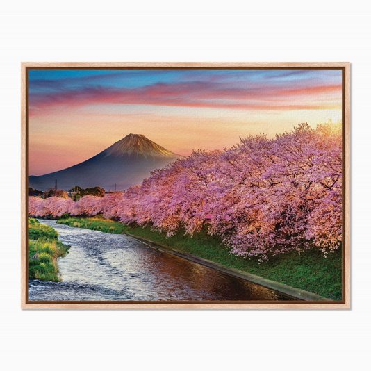 Quadro em Tela Canvas Cerejeiras no Monte Fuji