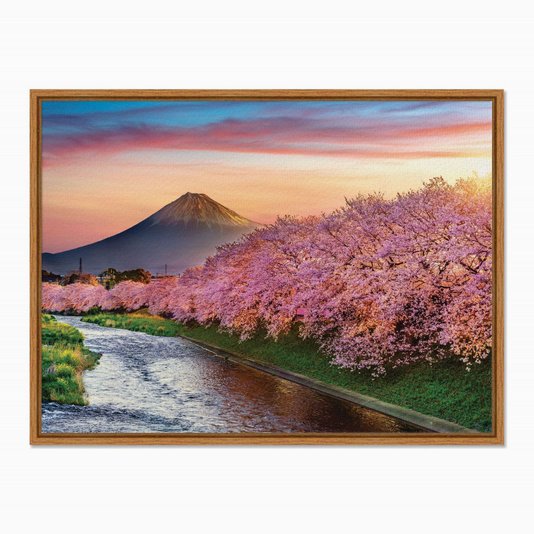Quadro em Tela Canvas Cerejeiras no Monte Fuji