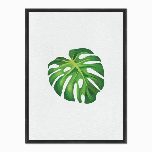 Quadro em Tela Canvas Folha Costela de Adão Quadro em Tela Canvas Folha Costela de Adão