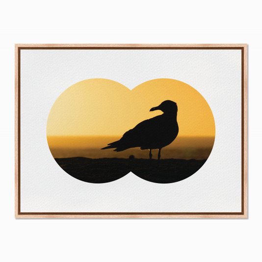 Quadro em Tela Canvas Gaivota