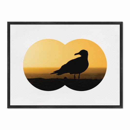 Quadro em Tela Canvas Gaivota