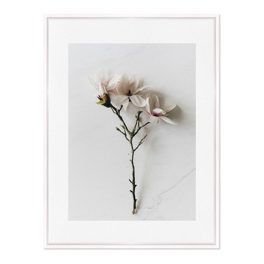 Quadro Em Tela Canvas Natureza Minimalista Flores