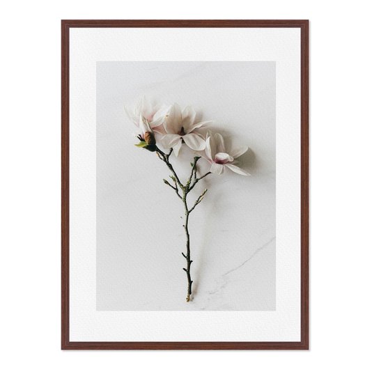 Quadro Em Tela Canvas Natureza Minimalista Flores