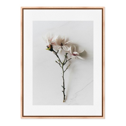 Quadro Em Tela Canvas Natureza Minimalista Flores