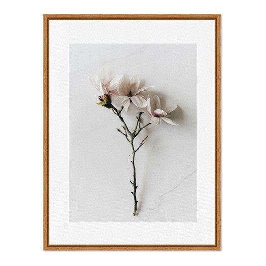 Quadro Em Tela Canvas Natureza Minimalista Flores