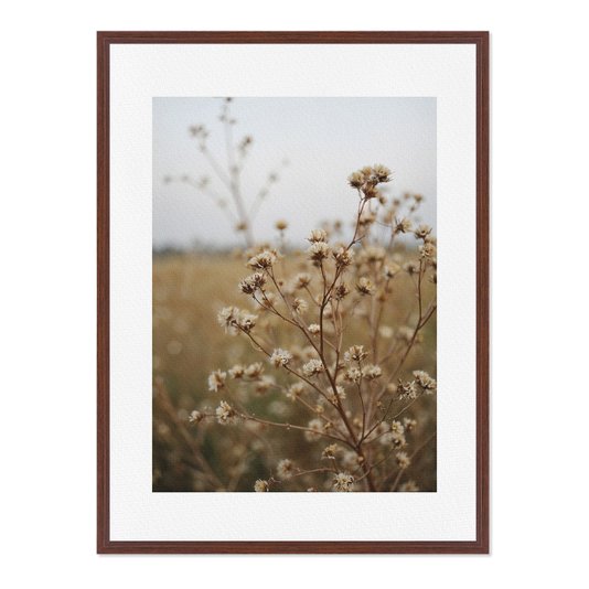 Quadro Em Tela Canvas Natureza Minimalista Plantas Secas