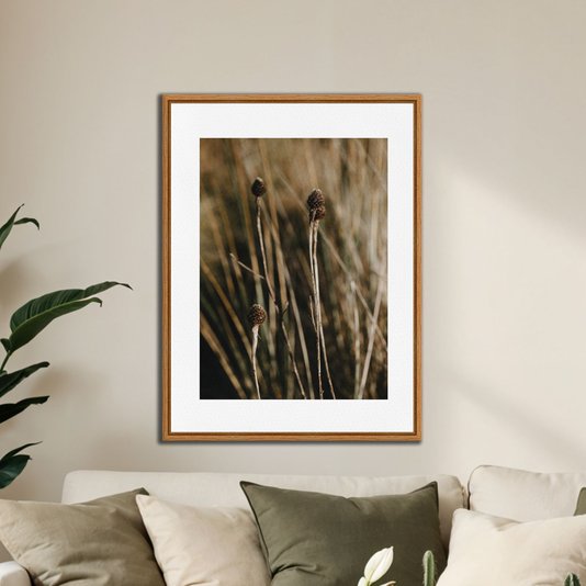 Quadro Em Tela Canvas Natureza Minimalista Plantas Secas