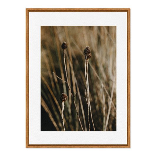 Quadro Em Tela Canvas Natureza Minimalista Plantas Secas