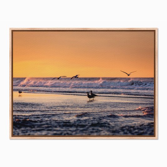 Quadro em Tela Canvas Pássaros a Beira Mar