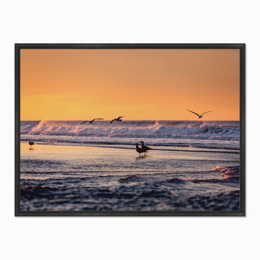 Quadro em Tela Canvas Pássaros a Beira Mar