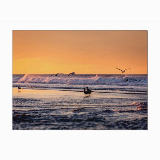 Quadro em Tela Canvas Pássaros a Beira Mar