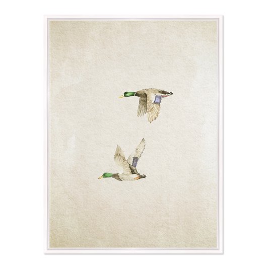 Quadro Em Tela Canvas Patos Vintage Farmhouse
