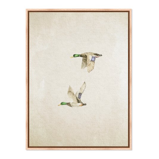 Quadro Em Tela Canvas Patos Vintage Farmhouse