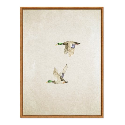 Quadro Em Tela Canvas Patos Vintage Farmhouse