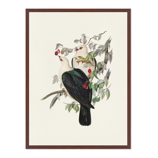 Quadro Em Tela Canvas Pombos De Fruta Vintage Farmhouse