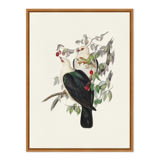 Quadro Em Tela Canvas Pombos De Fruta Vintage Farmhouse