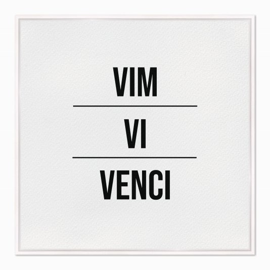 Quadro em Tela Canvas Vim Vi Venci