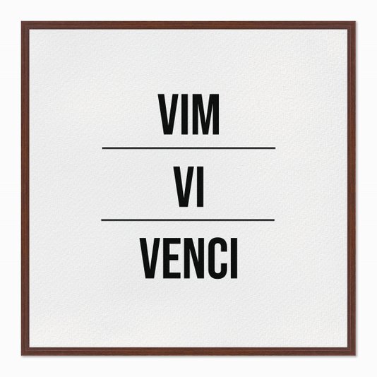 Quadro em Tela Canvas Vim Vi Venci