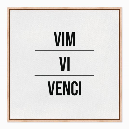 Quadro em Tela Canvas Vim Vi Venci