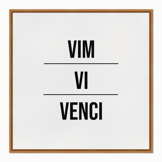 Quadro em Tela Canvas Vim Vi Venci