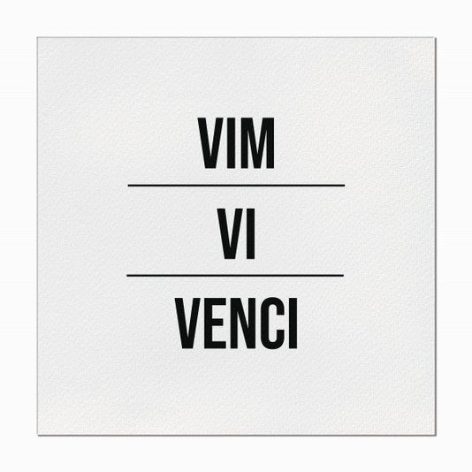 Quadro em Tela Canvas Vim Vi Venci