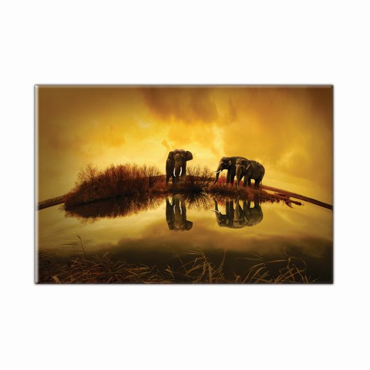 Tela Decoratica em Tecido Canvas Elefantes