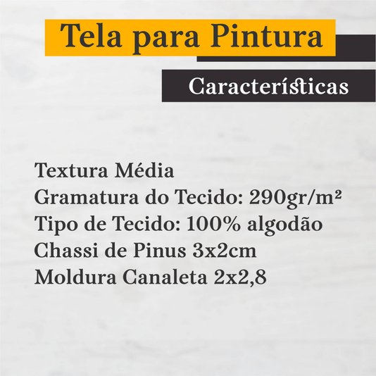 Tela para Pintura com Moldura Canaleta Flutuante Lisa Revestida - 2x2,8